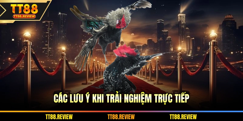 Các lưu ý khi trải nghiệm trực tiếp