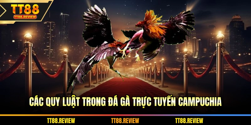 Các quy luật trong đá gà trực tuyến Campuchia