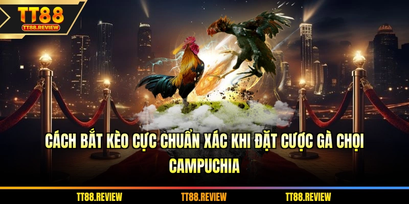 Cách bắt kèo cực chuẩn xác khi đặt cược gà chọi Campuchia