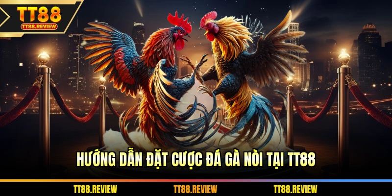 Hướng dẫn đặt cược đá gà nòi tại TT88