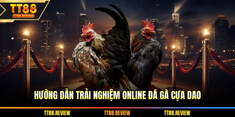 Hướng dẫn trải nghiệm online đá gà cựa dao