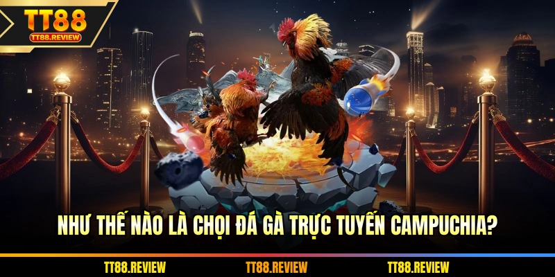 Như thế nào là chọi đá gà trực tuyến Campuchia?